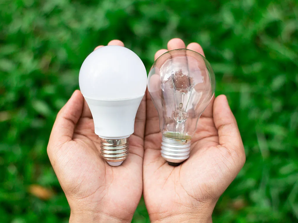 hands holding regular and energy-saving light bulbs